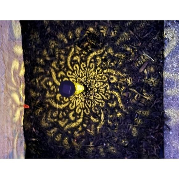 6 Pack Solar Lights Outdoor Garden Decorative with Warm Light Waterproof Pathway - Picture 1 of 3